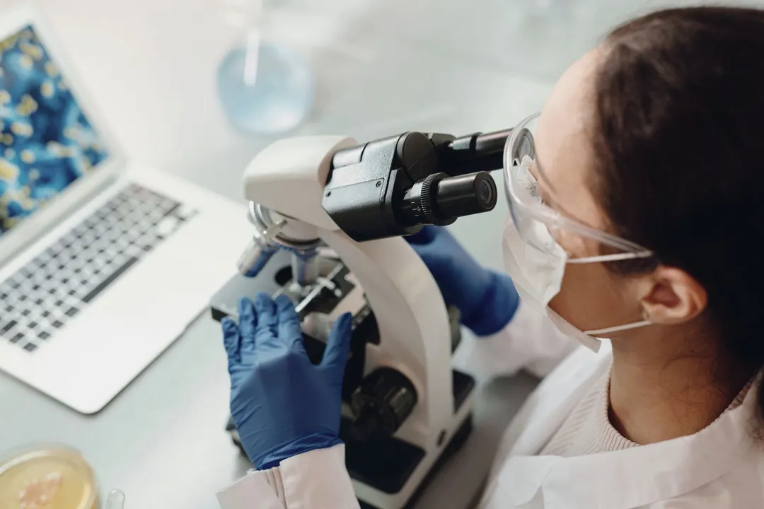A researcher adjusts a microscope at a bright bench.